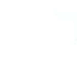 Meet your Posher, Annmarie